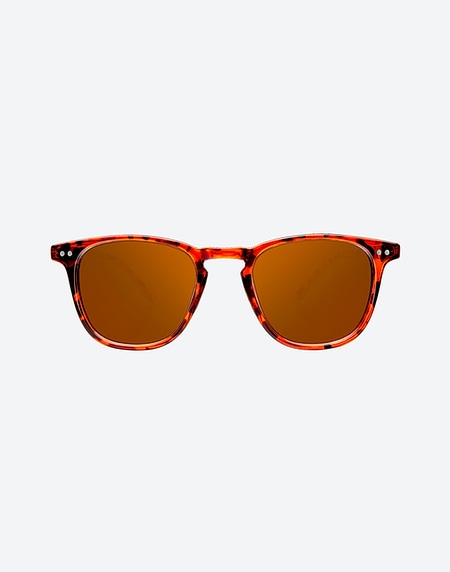 Sunglasses Northweek WALL SHINE TORTOISE - AMBAR POLARIZED